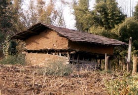 Amenities to Halpatis